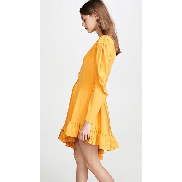 pushBUTTON Silk Dress  - Picture 2 of 12